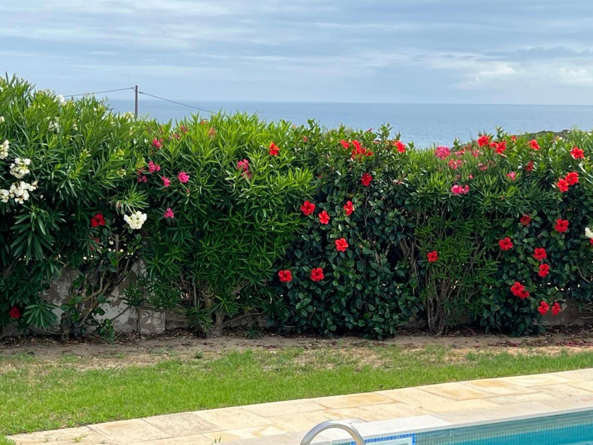 Vila Rosa - Private Swimming Pool With Sea View Hébergement de vacances